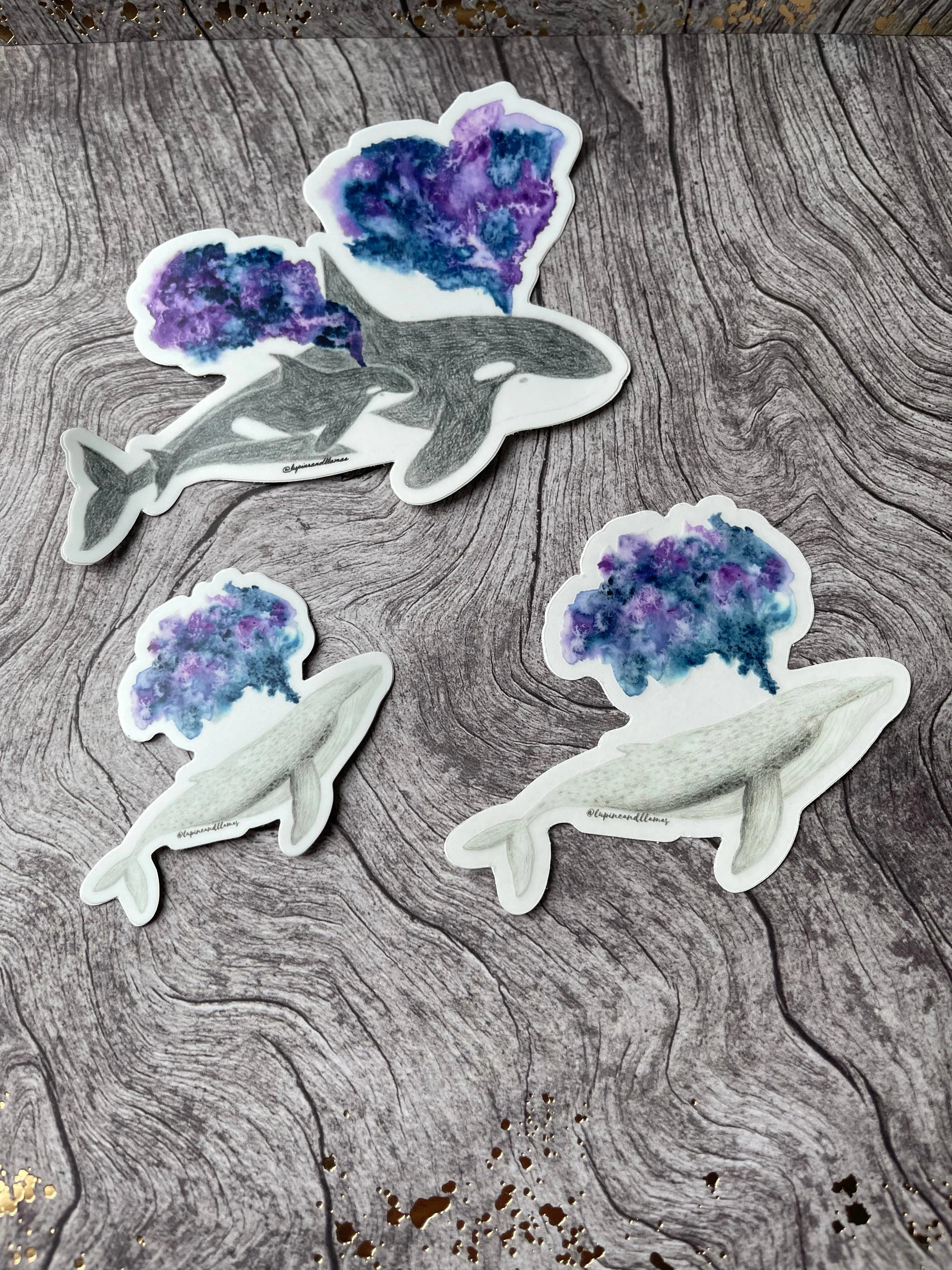 🐋 Humpback Whale 🐋- Sticker
