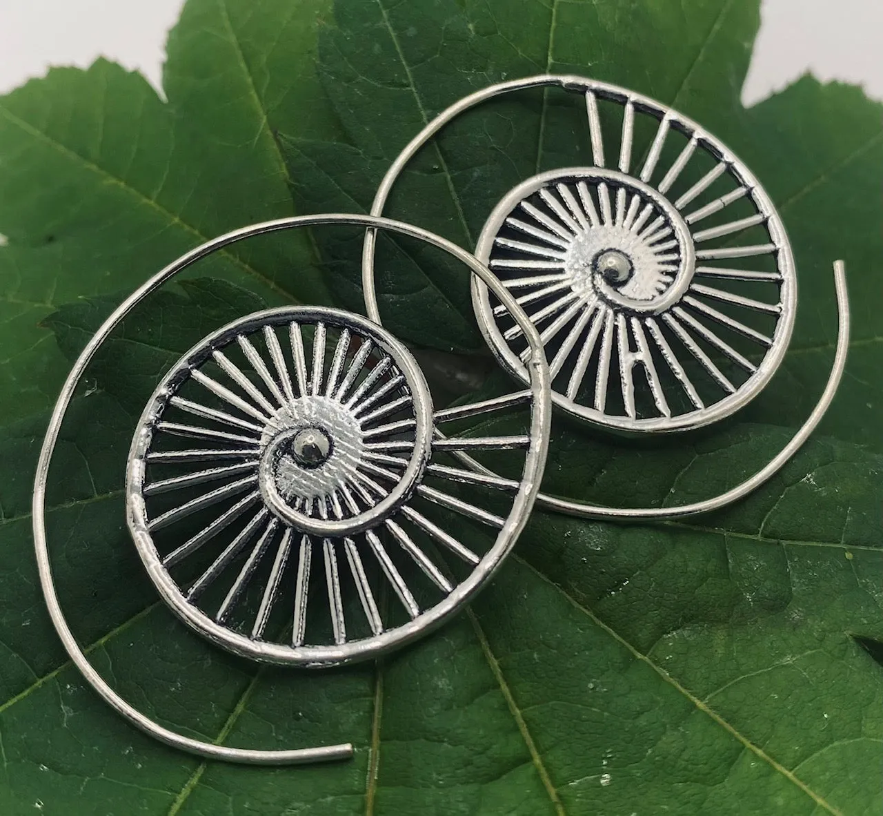 Ammonite V2