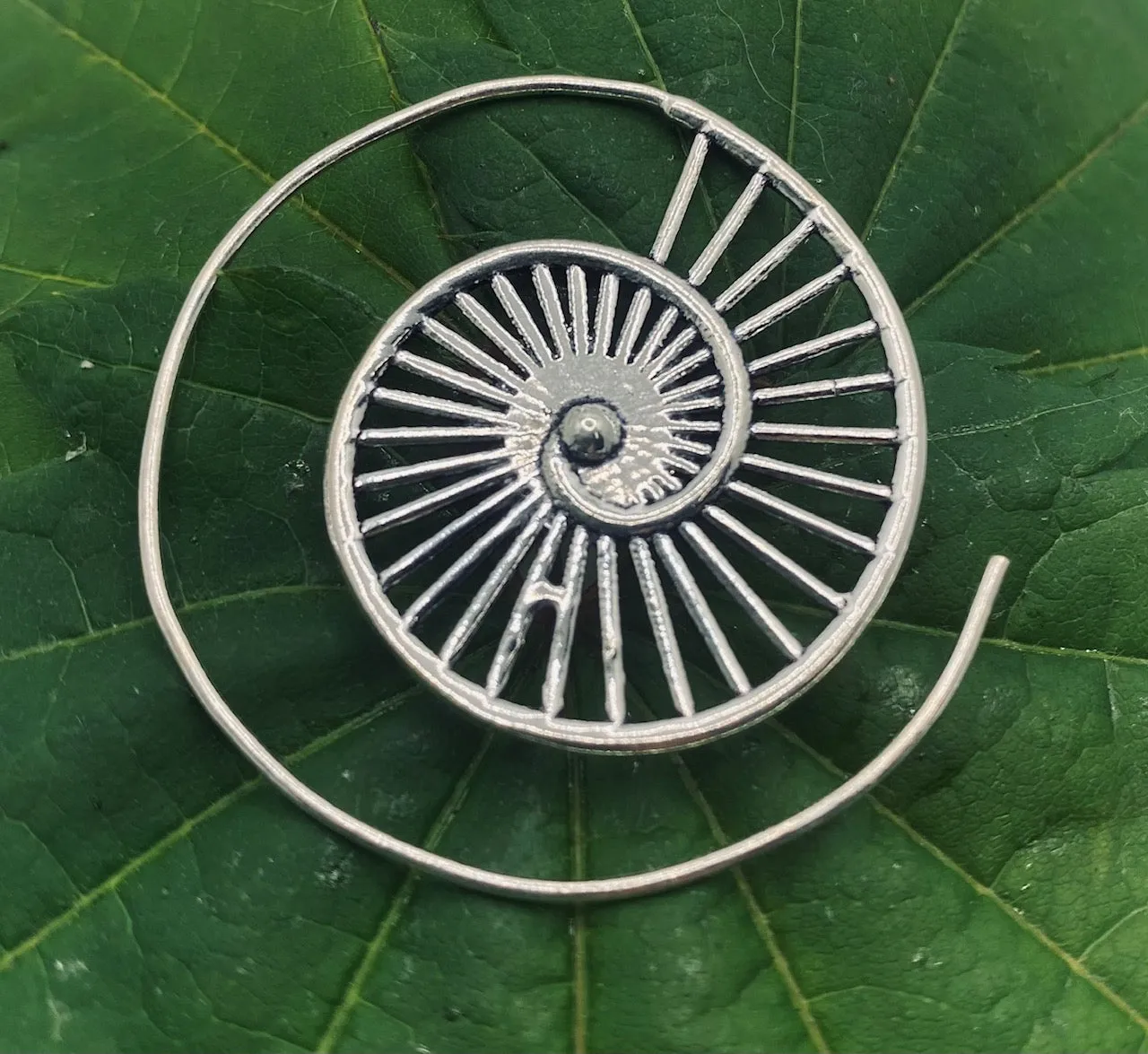 Ammonite V2