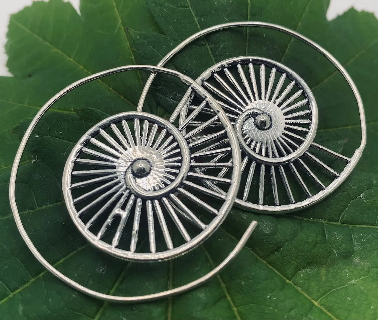 Ammonite V2