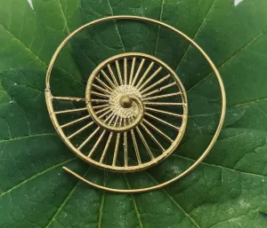 Ammonite V2