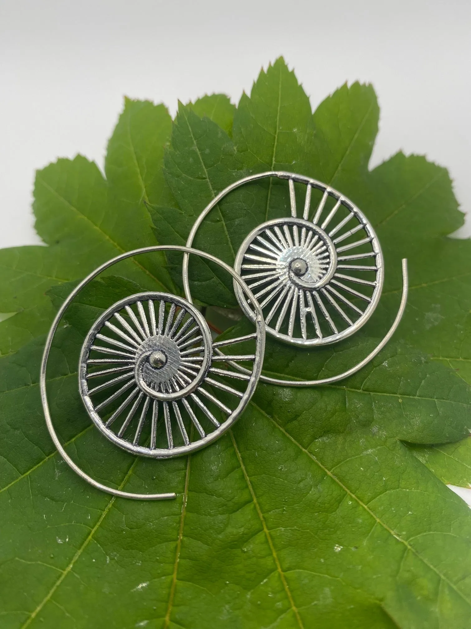 Ammonite V2