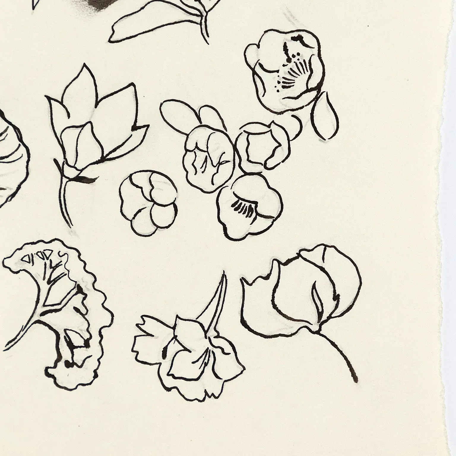 ANDY WARHOL "FAMILY OF FLOWERS", c. 1955