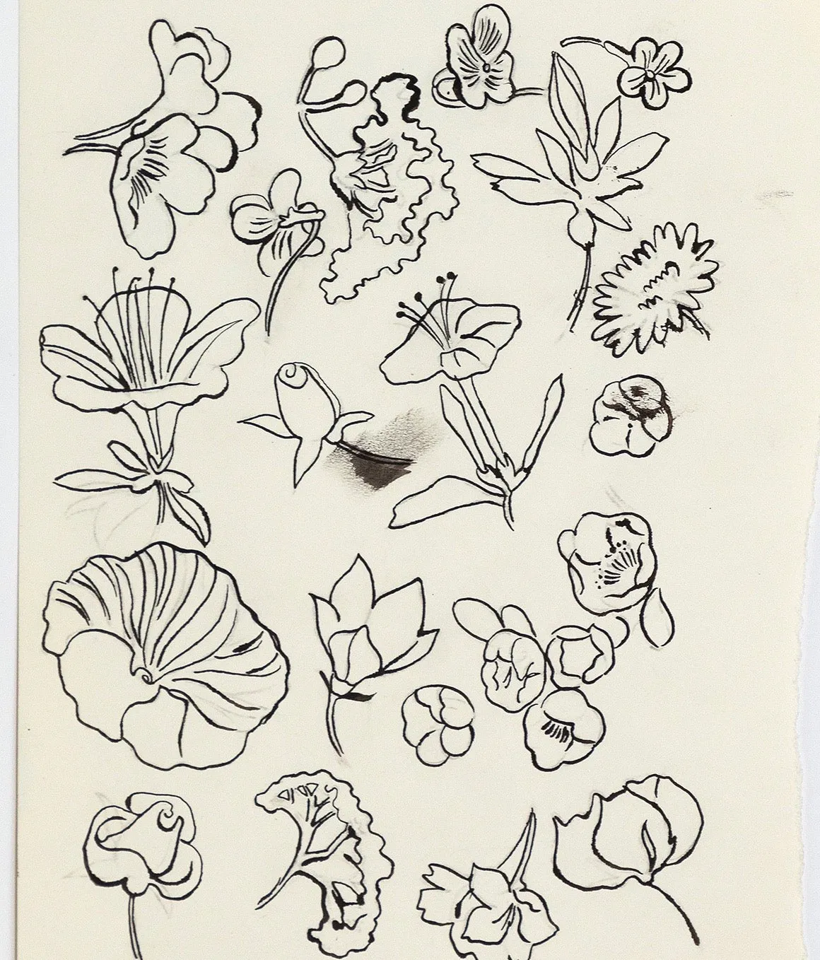 ANDY WARHOL "FAMILY OF FLOWERS", c. 1955