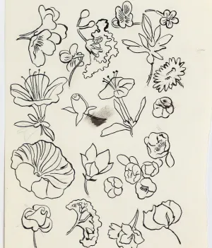 ANDY WARHOL "FAMILY OF FLOWERS", c. 1955