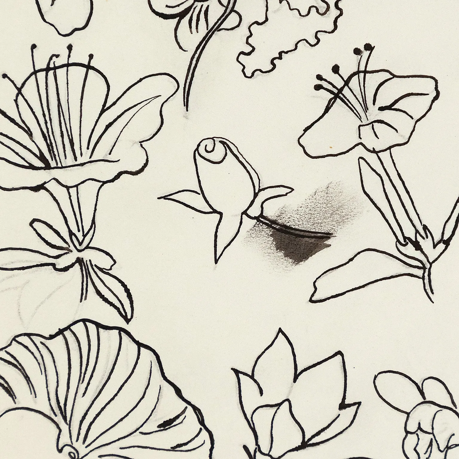 ANDY WARHOL "FAMILY OF FLOWERS", c. 1955