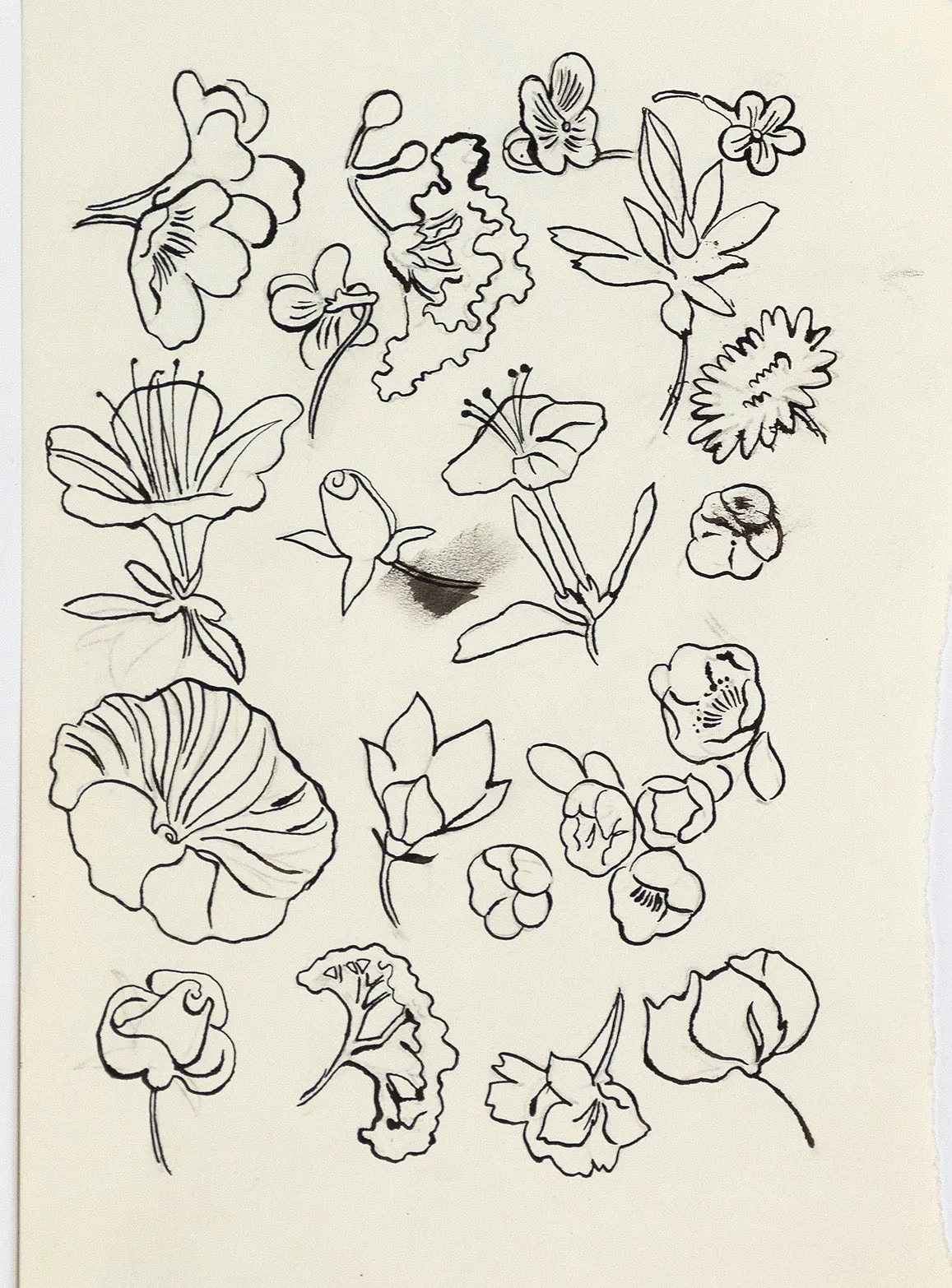 ANDY WARHOL "FAMILY OF FLOWERS", c. 1955