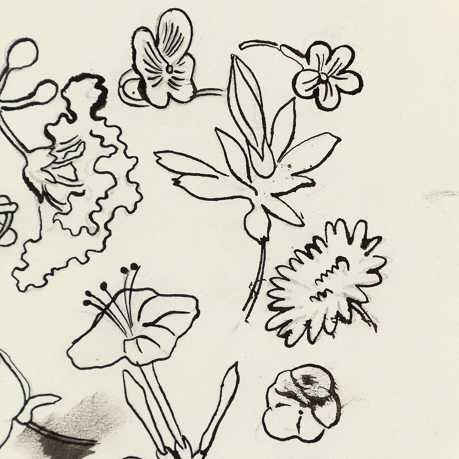ANDY WARHOL "FAMILY OF FLOWERS", c. 1955