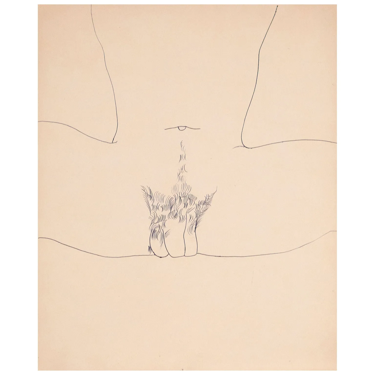 ANDY WARHOL "SPREAD" DRAWING, 1955