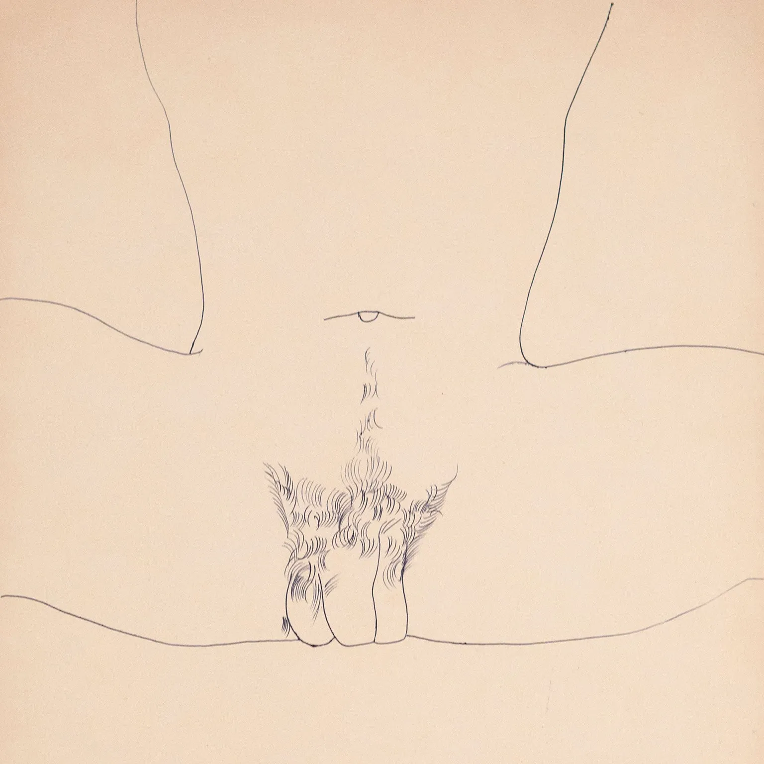 ANDY WARHOL "SPREAD" DRAWING, 1955