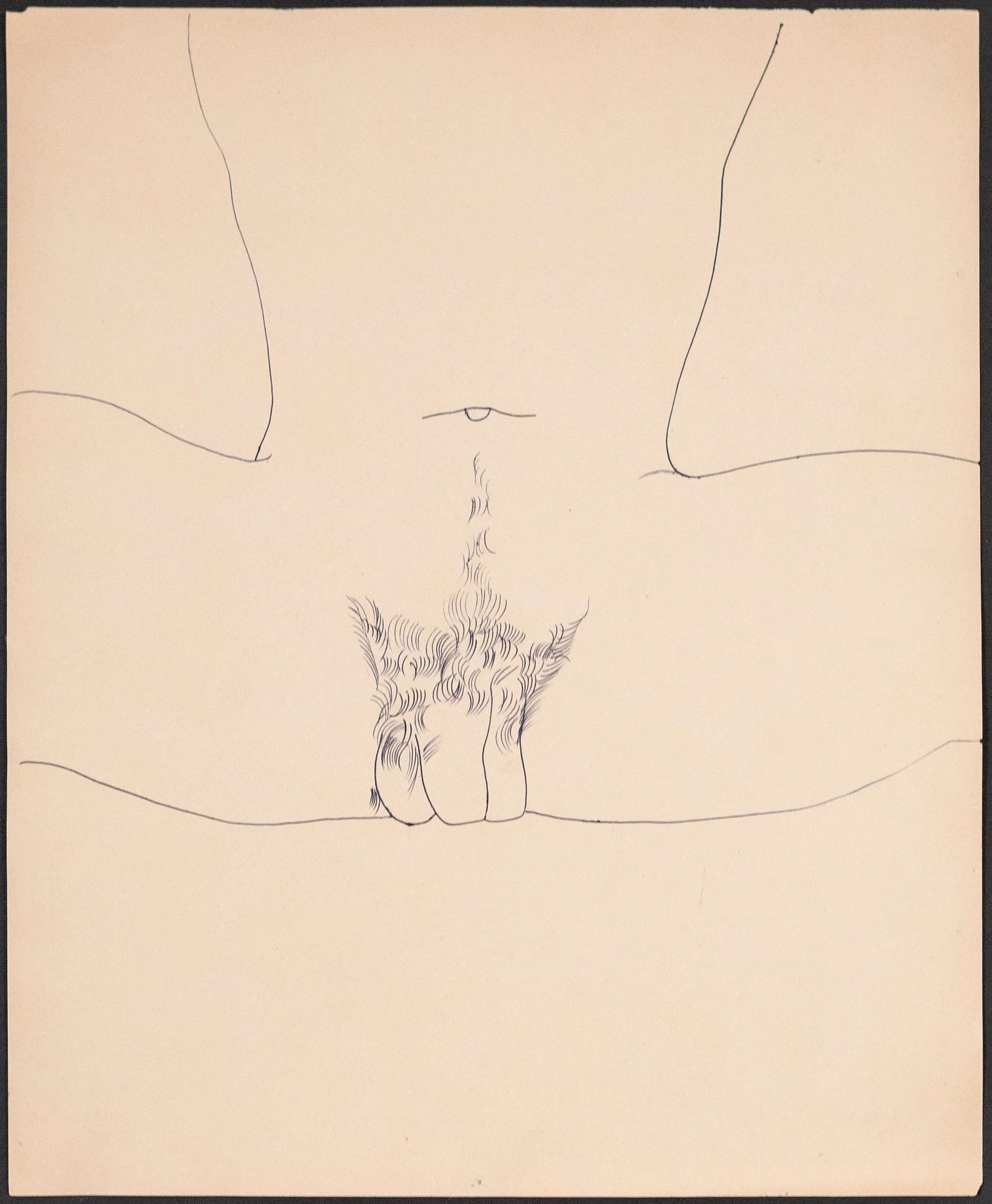 ANDY WARHOL "SPREAD" DRAWING, 1955