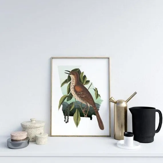 Bird Watcher Gift | Brown Thrasher Art | Georgia State Decor | Gift for Bird Lover | Unique Georgia House Decor