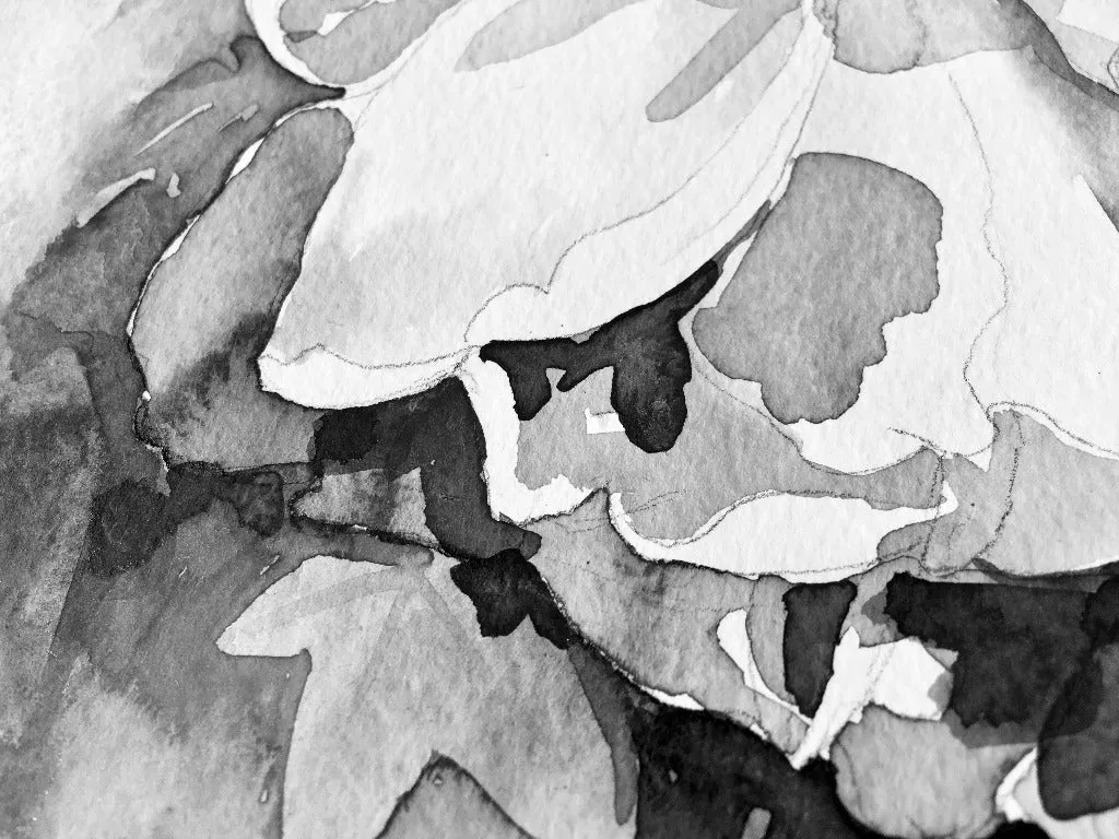 Black and White  Watercolor Explosion Wallpaper Mural
