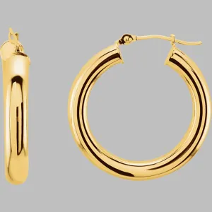 Chunky Hinged Hoop Earrings