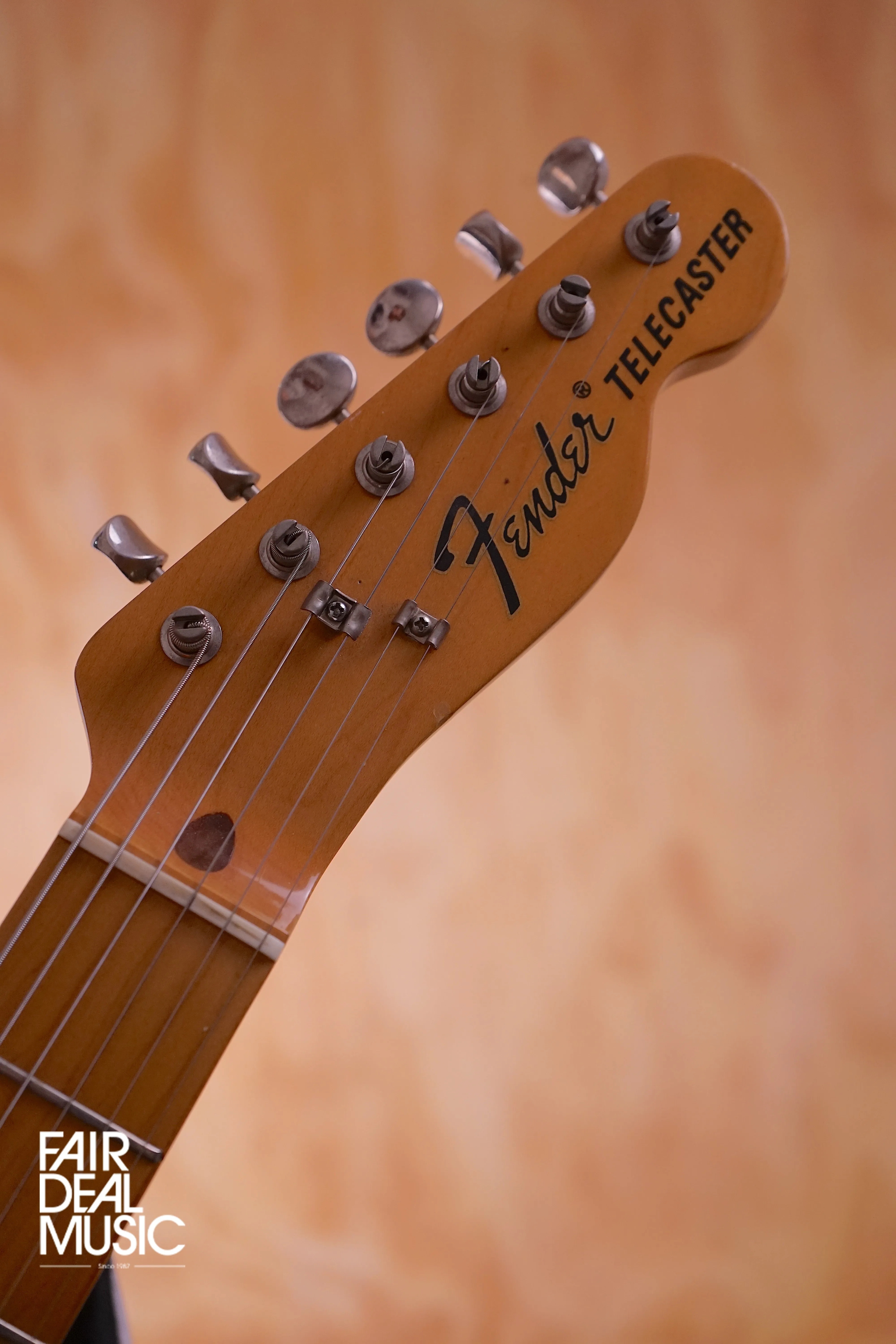 Fender Japan TL69-75 Telecaster in Blue Flower, USED