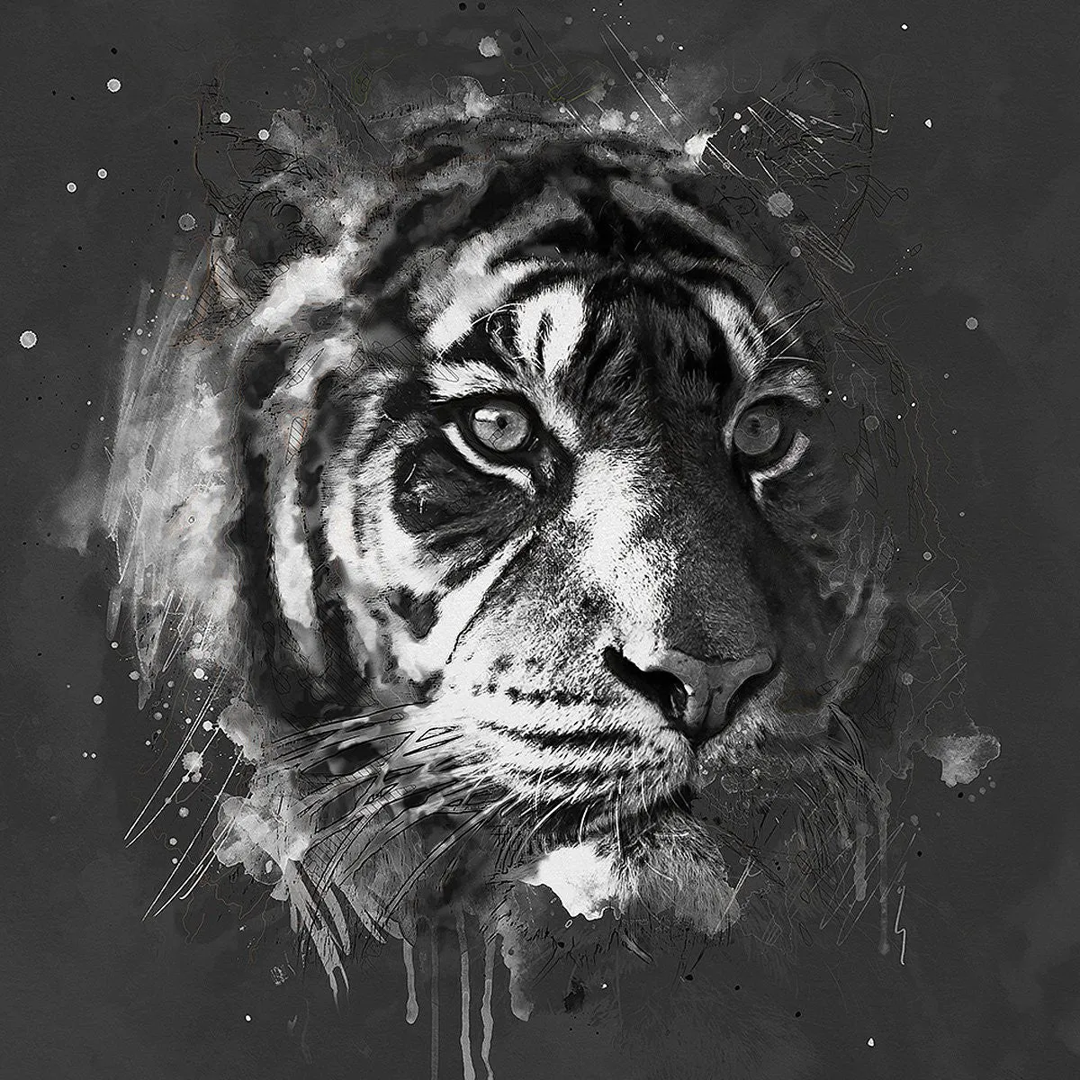 Free Abstract Watercolor Art In Photoshop