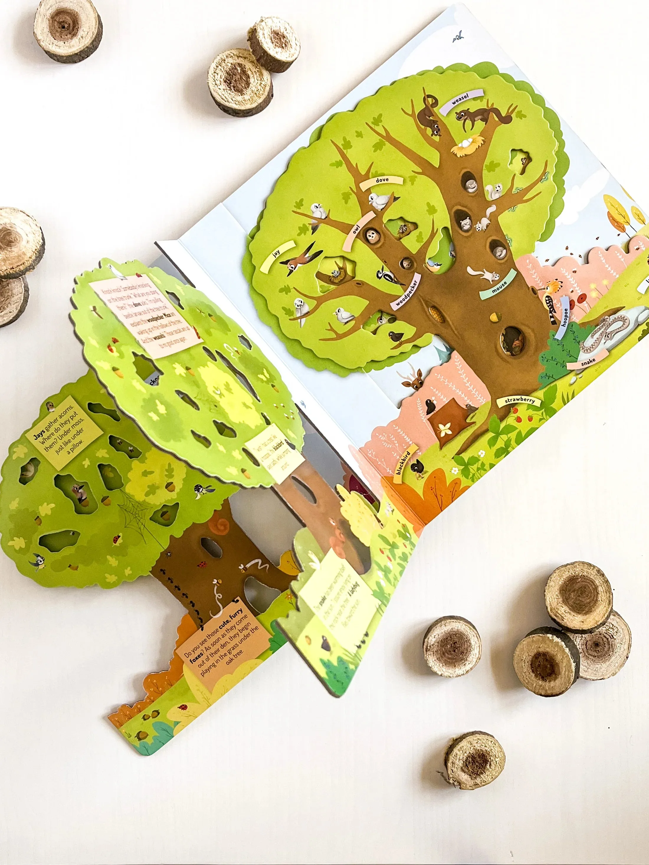 Layered Tree Board Book