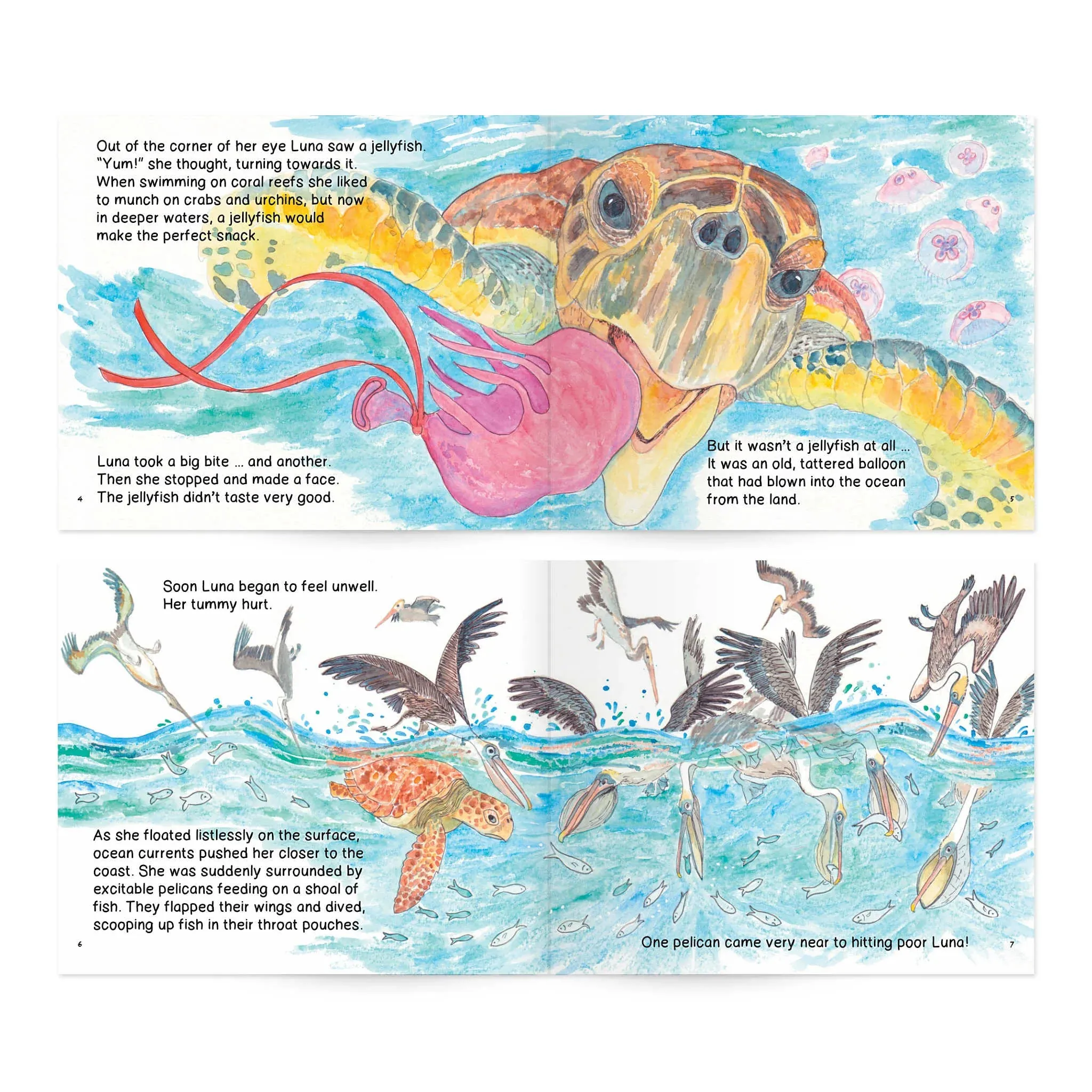 Loggerhead Life Storybook