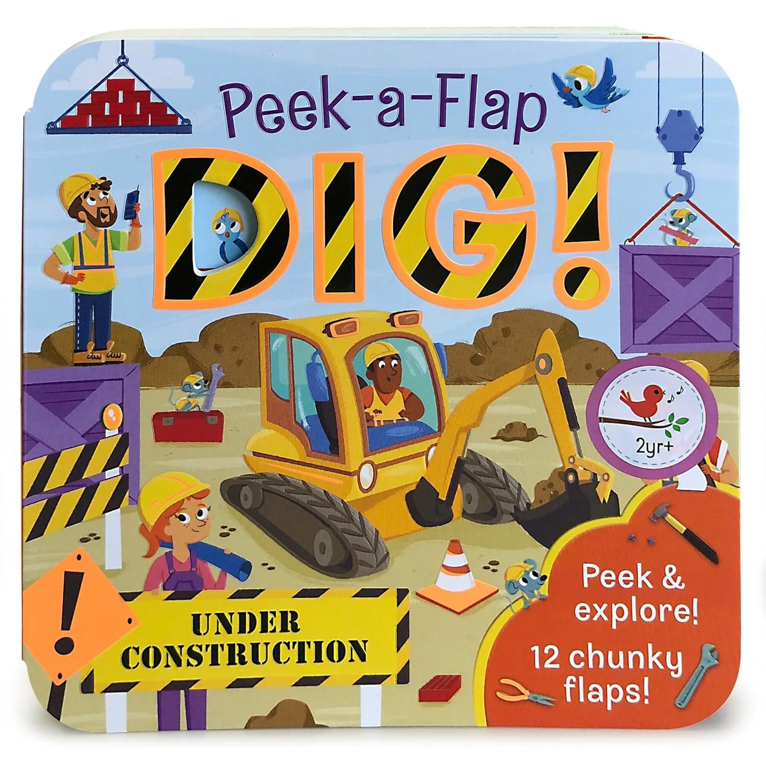 Peek-a-Flap DIG Book