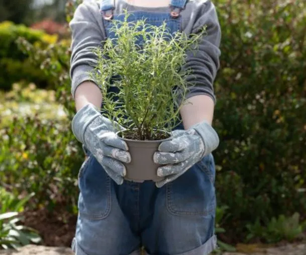 Peter Rabbit Children's Gardening Gloves