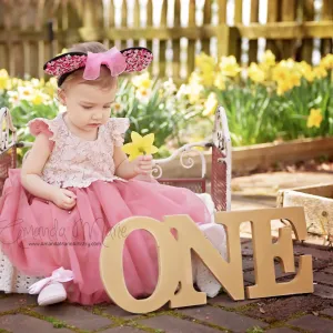 "ONE" Sign Photo Prop