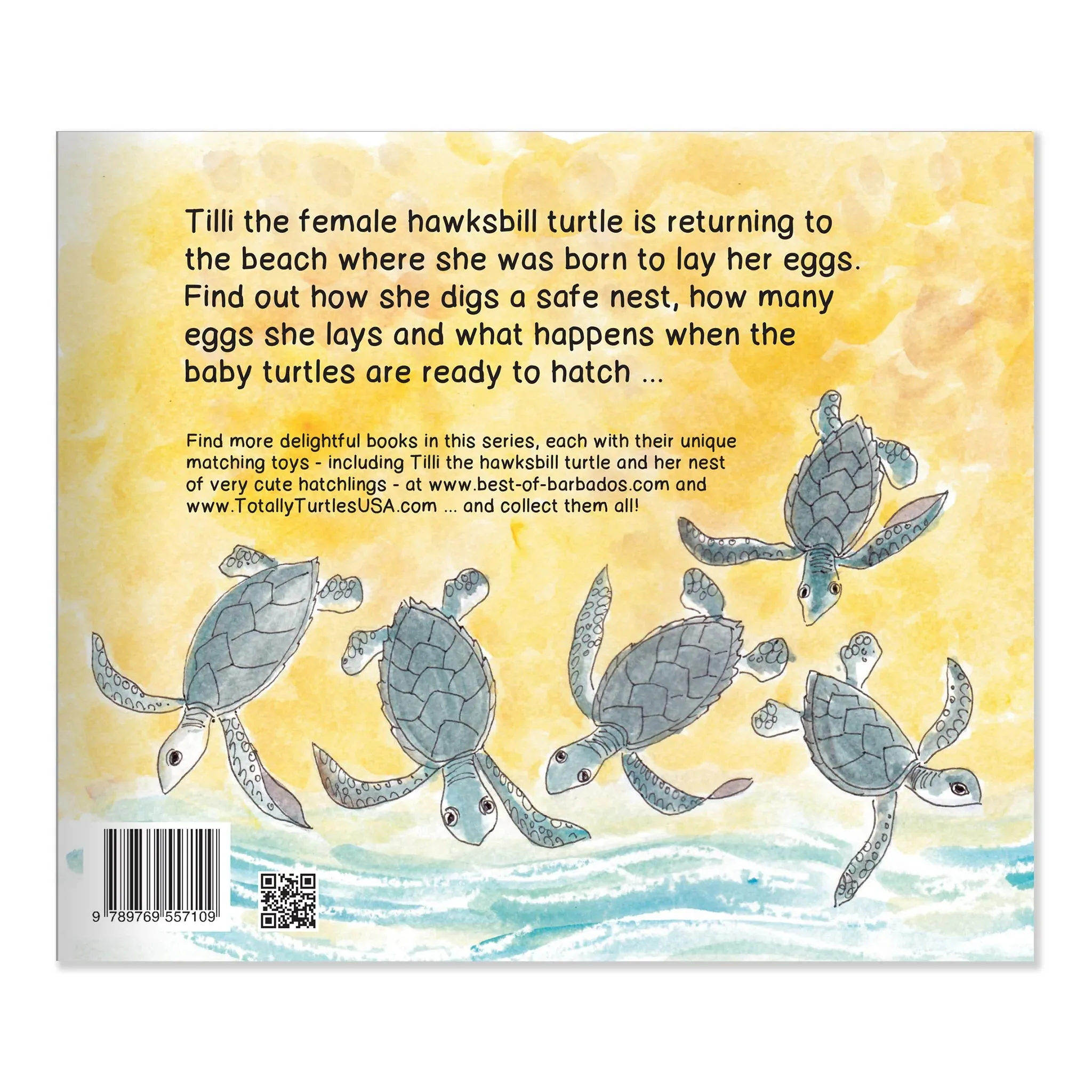 Turtle Tracks Storybook