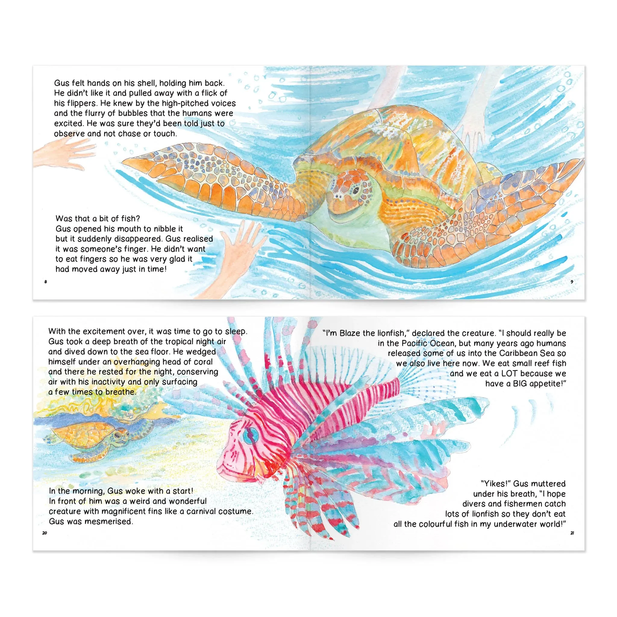 Turtle Trips Storybook