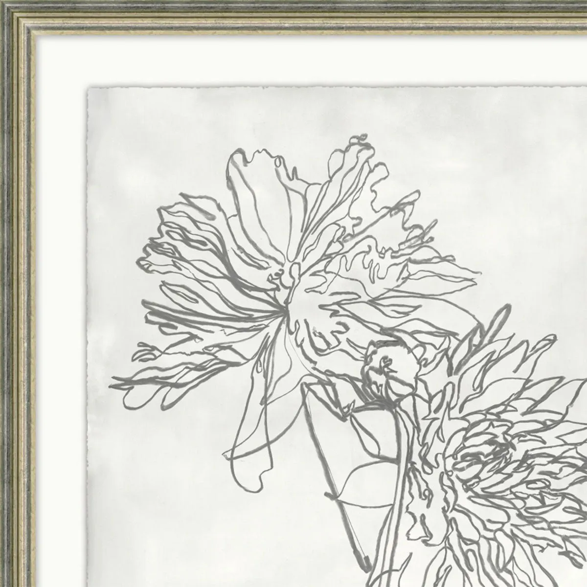 Watercolor Blooms