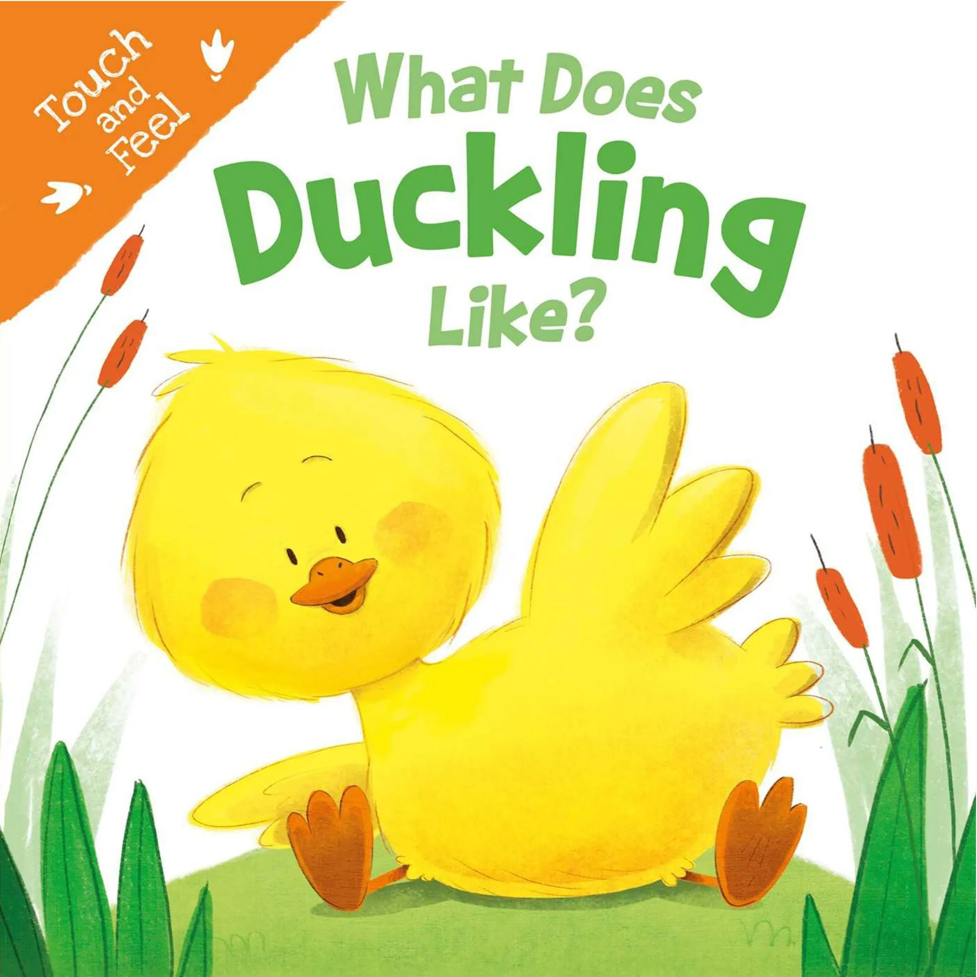 What Does Duckling Like?