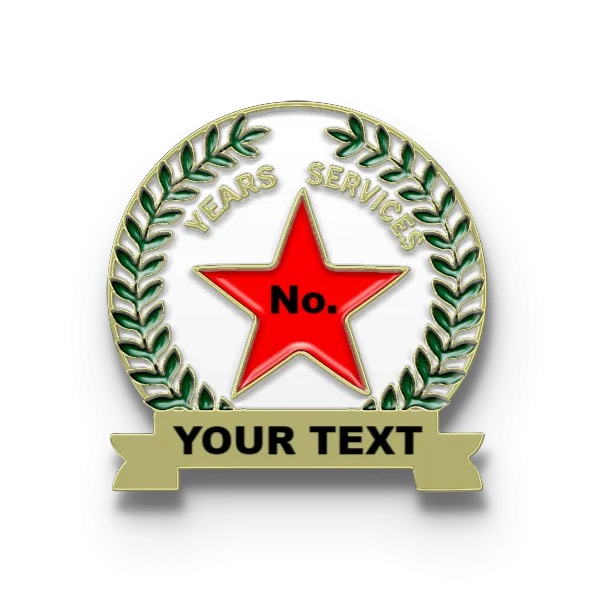 Years of Service Pins with Custom Star Years & Bottom Text