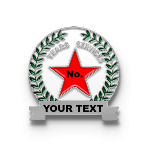 Years of Service Pins with Custom Star Years & Bottom Text